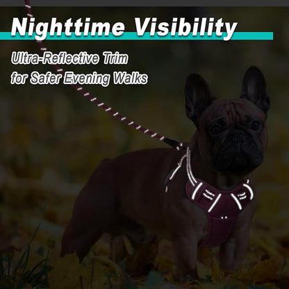 BARKBAY Dog Harness No Pull Mesh for Small Dogs - Adjustable, Reflective, Comfortable, No Choke, Heavy-Duty - Perfect for Outdoor Training, Walking, and Hiking - Strong & Durable - S & Pink Mesh