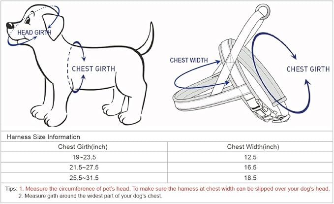 Blueberry Pet 4 Colors Soft & Comfy 3M Reflective Jacquard Padded Dog Harness, Chest Girth 25.5" - 31.5", Palace Blue, M/L, Adjustable Harnesses for Dogs