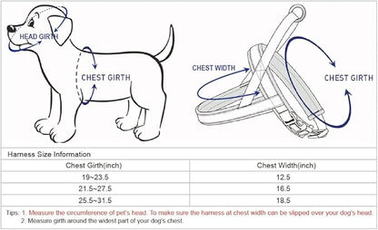 Blueberry Pet 6 Colors Soft & Comfy Jacquard Padded Dog Harness, Chest Girth 25.5" - 31.5", Teal Blue, M/L, Reflective Adjustable Harnesses for Dogs