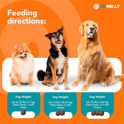 Dog Probiotic Chews – Pre & Probiotics for Dogs with Pumpkin-Digestive & Gut Health Support, Helps with Diarrhea, Gas & Constipation, Bacon Flavor, 30 Soft Chews – Ol'Nelly