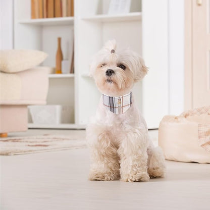 EXPAWLORER Puppy Collar and Leash Set - Classic Plaid Small Dog Collar with Bow Tie, Cute Dog Collar and Leash Set, Adjustable Dog Collar for Small Dogs Cats Holiday Birthday Gifts, Beige S-M