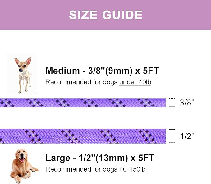 5 FT Slip Lead, Heavy Duty Rope Leash for Small to Large Dogs, No Pull Training Lead with Reflective Thread, Strong Comfortable Loop (Purple Stripe, Medium(3/8"))
