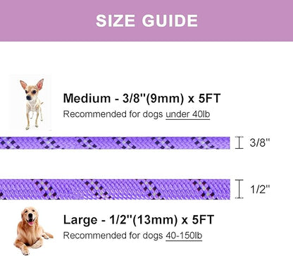 5 FT Slip Lead, Heavy Duty Rope Leash for Small to Large Dogs, No Pull Training Lead with Reflective Thread, Strong Comfortable Loop (Purple Stripe, Medium(3/8"))