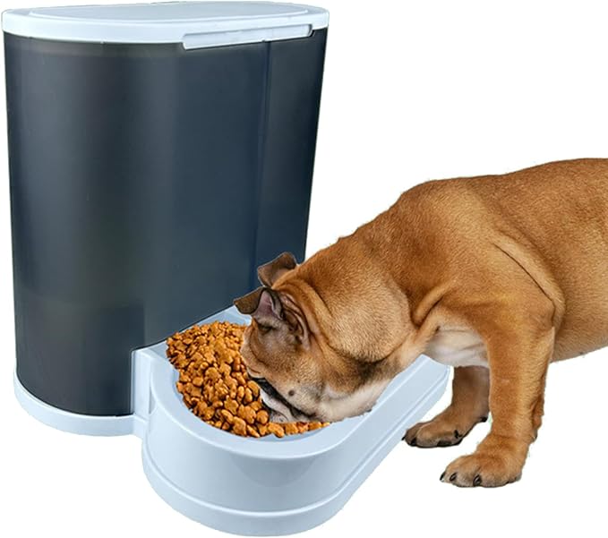 Large Capacity Pet Feeders Feeding Bowl Dog Food Bowl Small Dog Food Container Pet Feeders