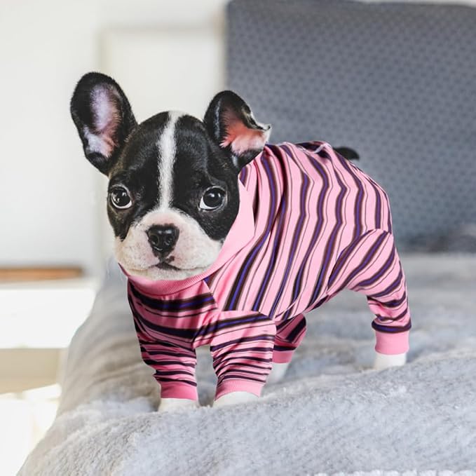 FEimaX Dog Recovery Suit After Surgery, Pet Abdominal Wounds Post Surgical Shirt for Dogs Cats, Puppy Spay Neuter Prevent Licking Onesie Alternative Bandages E-Collar & Cone