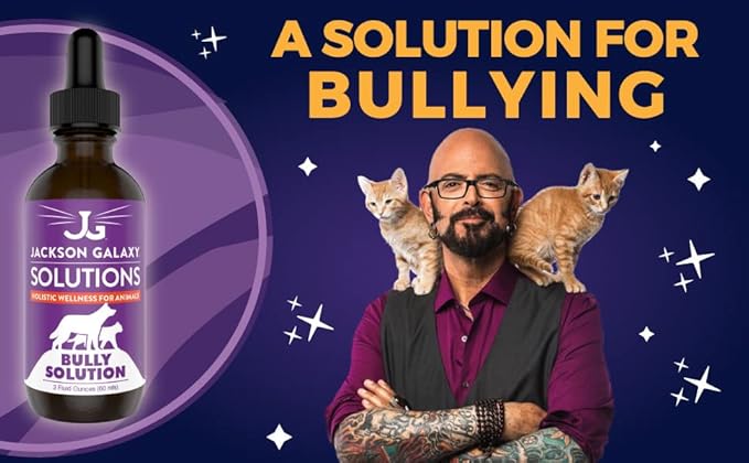 Jackson Galaxy: Bully Solution (2 oz.) - Pet Solution - Promotes Relaxation and Calmness - Can Support Bullying and Dominance - All-Natural Formula - Reiki Energy
