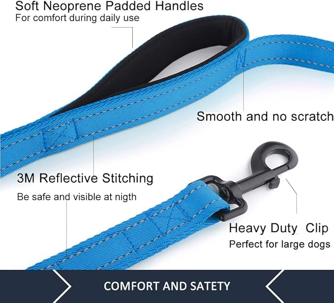 Plutus Pet Dog Leash 6ft Long,Traffic Padded Two Handle,Heavy Duty,Reflective Double Handles Lead for Control Safety Training,Leashes for Large Dogs or Medium Dogs,Dual Handles Leads(Light Blue)