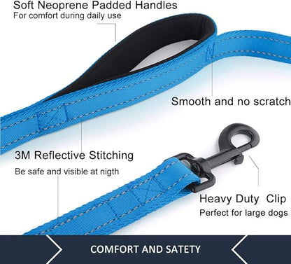 Plutus Pet Double Handle Dog Leash 4ft, Heavy Duty, Reflective Dual Handle Dog Leash for Safety Training, for Medium Large Dogs,2 Handle Leads(Blue)