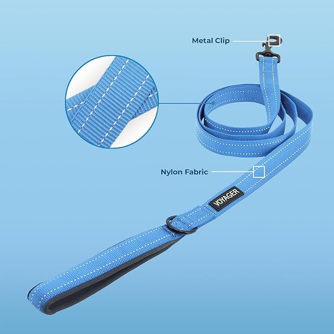Best Pet Supplies Voyager Reflective Dog Leash or Collar with Neoprene Handle, for Small, Medium, and Large Breed Puppies, Cute and Heavy Duty for Walking, Running and Training - Baby Blue (Leash), S