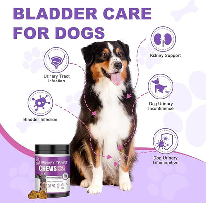 Dog Uti Treatment Cranberry Supplement for Dogs 200 Chews Urinary Tract Medicine Bladder Control Pills Kidney Support Cranberrys Extract Bites Uti Infection Treats Incontinence Remedy for Dogs Chicken