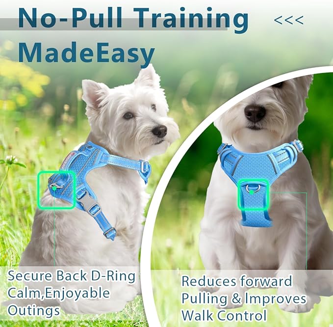 BARKBAY Dog Harness No Pull with ID Tag Pocket - Heavy Duty, Reflective, Easy Control for Large Dogs(Blue,XS)