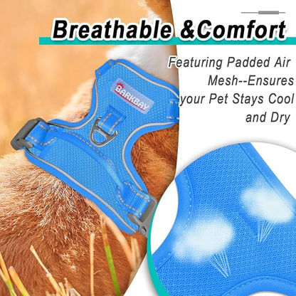 BARKBAY Dog Harness No Pull Mesh for Small Dogs - Adjustable, Reflective, Comfortable, No Choke, Heavy-Duty - Perfect for Outdoor Training, Walking, and Hiking - Strong & Durable - S & Blue Mesh