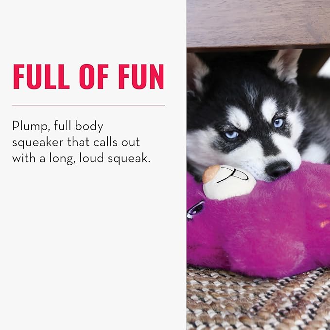 KONG Snuzzles Dog Toy, Plush Squeaker, Crinkle Sounds, Soft Durable Indoor Play (Koala, Medium)