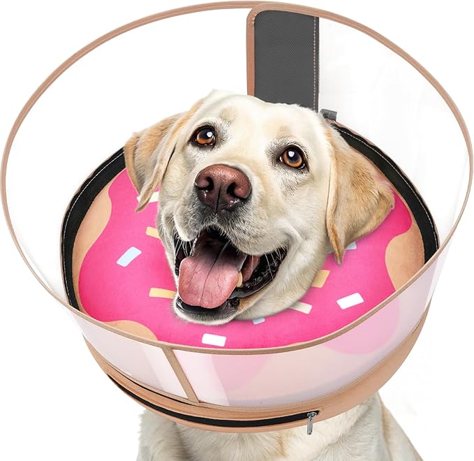 Inflatable Dog Cone with Transparent Shield, Protective Dog Donut Collar After Surgery to Stop Licking, Soft Donut Cone for Medium Pets, Adjustable Recovery Collar with Buckle Visibility