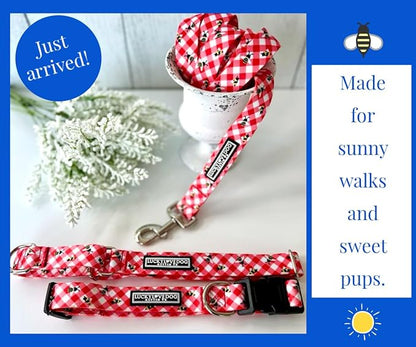 Lucky Love Dog - Easy Click Buckle Dog Collar with Leash Set Combo, Durable & Comfortable for Male & Female Dogs, Pet Collar for Medium Dogs, Secure Fit - Bailey Combo, Medium