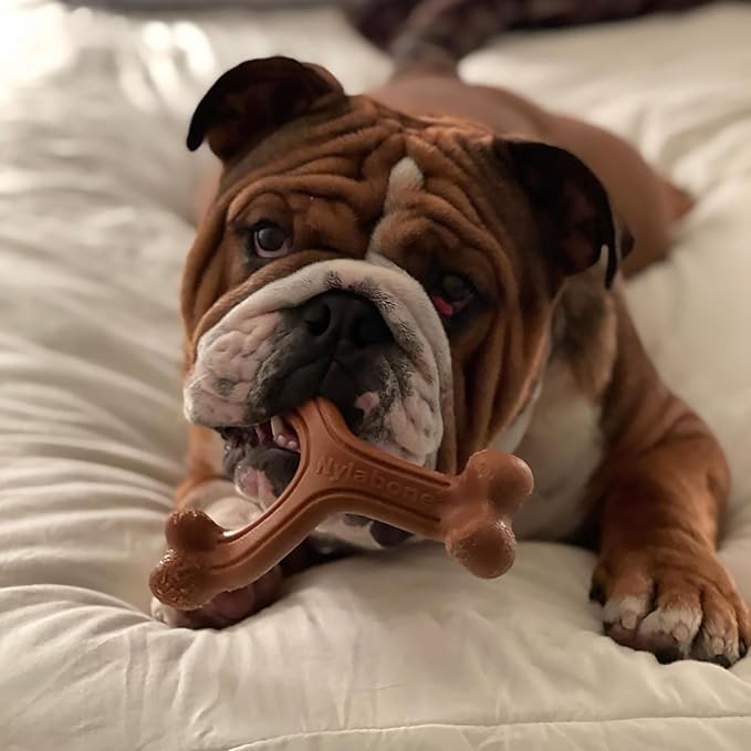 Nylabone Ergonomic Hold Wishbone Power Chew Toy for Dogs, Dog Toys for Aggressive Chewers, Bison Flavor, Large - Up to 50 lbs, 1 Count