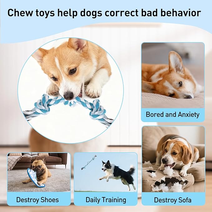 SZEE 2Pcs Dog Rope Toys for Small Breeds, 14 in 3 Knots Chew Rope Toy for Dogs, Pull Toy for Tug of War, Energy Release, Boredom Relief and Teeth Cleaning (Green & Blue)