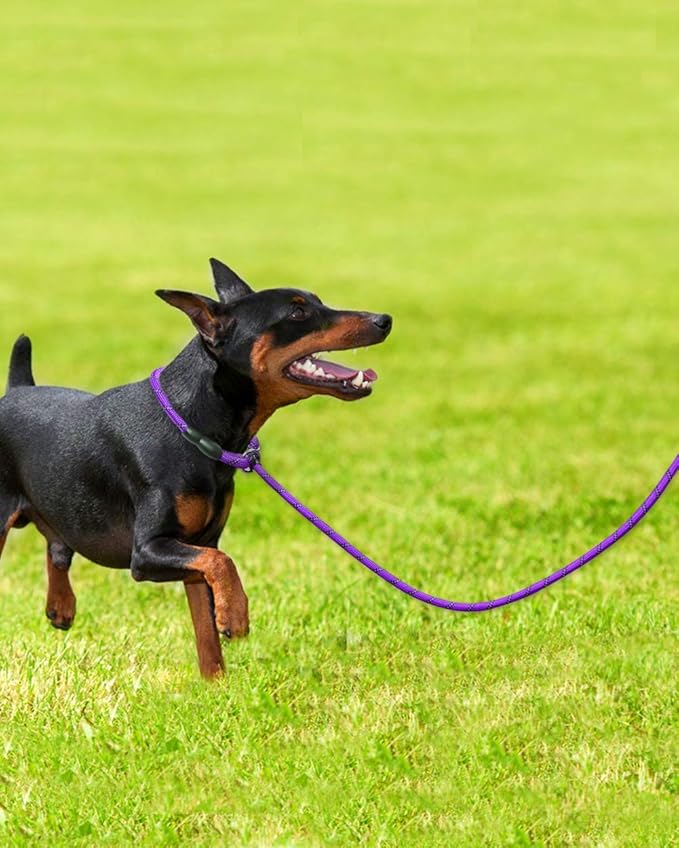 TagME 6ft Slip Dog Lead, No Pull Reflective Training Leash with Padded Handle, Professional Rope P-Leash for Small Medium Large Dogs, Heavy Duty Correction Lead for Walking & Training (Purple)