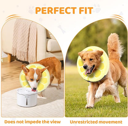Adjustable Inflatable Dog Cone Collar for Surgery Recovery, Soft Cone for Dogs & Cats, Portable & Washable Dog Donut Collar, Large Cat Cone E Collar (Yellow XL)