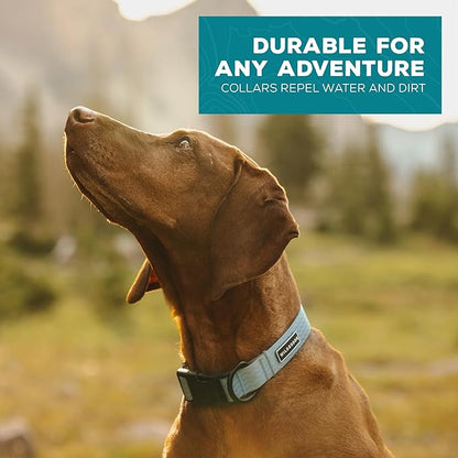 Wilderdog Waterproof Dog Collar - Repels Water & Dirt - Medium 13"-18" - Saltwater