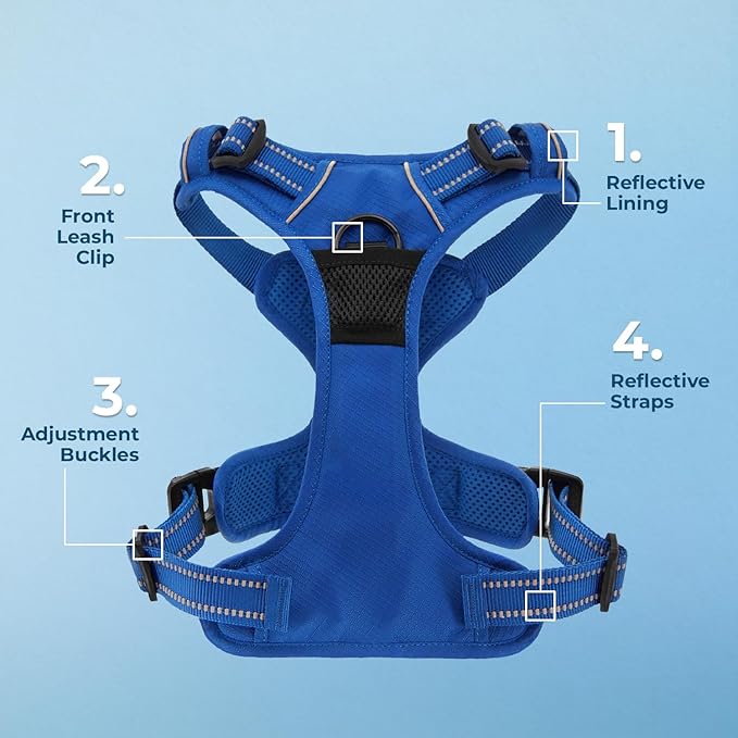 Voyager Dog Harness Dual Leash Attachment No-Pull Control Adjustable Soft but Strong Pet Harness for Medium and Large Dogs with 3M Reflective Technology, Leash Set Royal Nylon, S (Chest: 16-20")