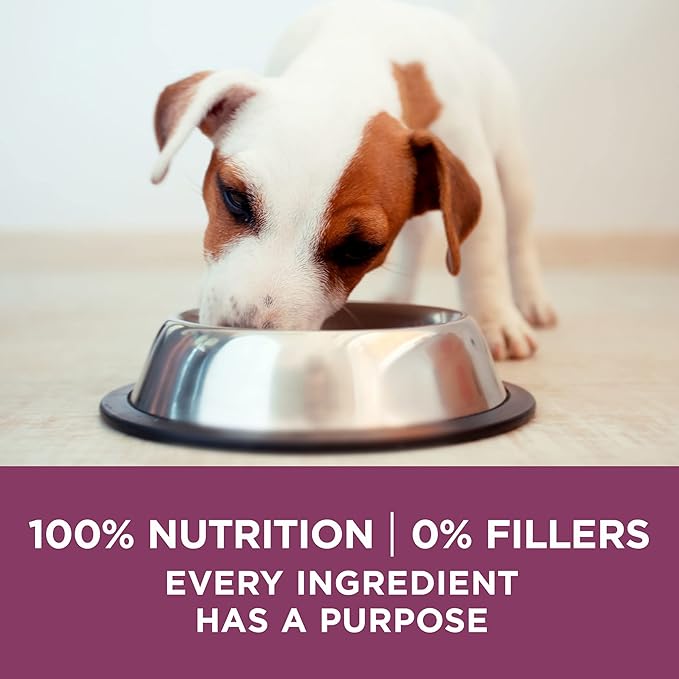 Purina ONE Puppy Food, High Protein Formula | Natural Ingredients | Added Vitamins | 8 lb Bag | Pack of 2