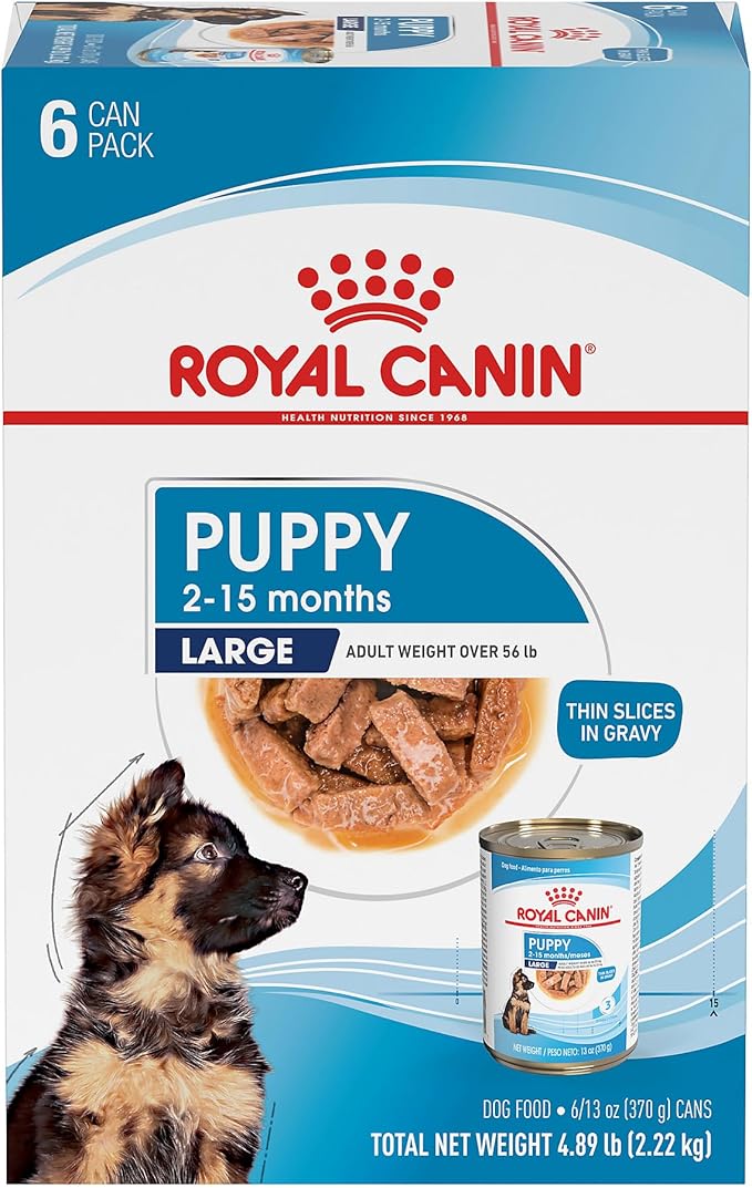 Royal Canin Size Health Nutrition Large Puppy Thin Slices in Gravy Dog Food, 13 oz (Pack of 6)
