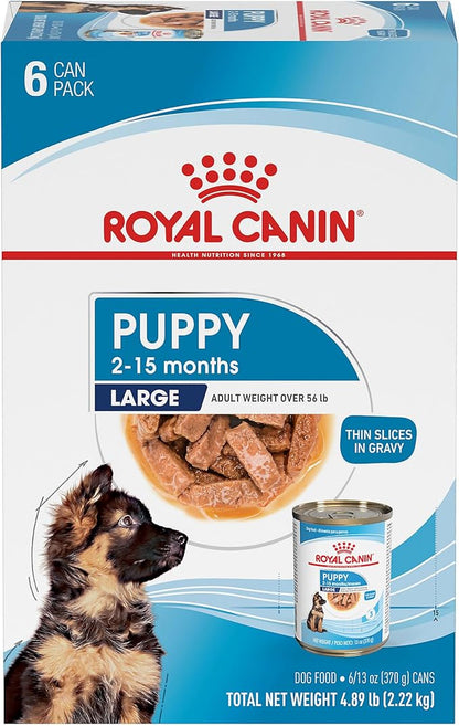 Royal Canin Size Health Nutrition Large Puppy Thin Slices in Gravy Dog Food, 13 oz (Pack of 6)