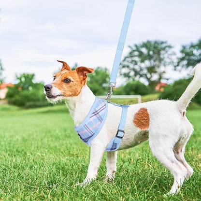 SCENEREAL Puppy Dog Harness with Leash Set for Small Medium Sized Dogs, Soft Mesh Pet Harnesses and Leash, No Chock Plaid Adjustable No Pull Vest for Dogs Cats, Chihuahua,Bulldog (Blue M)