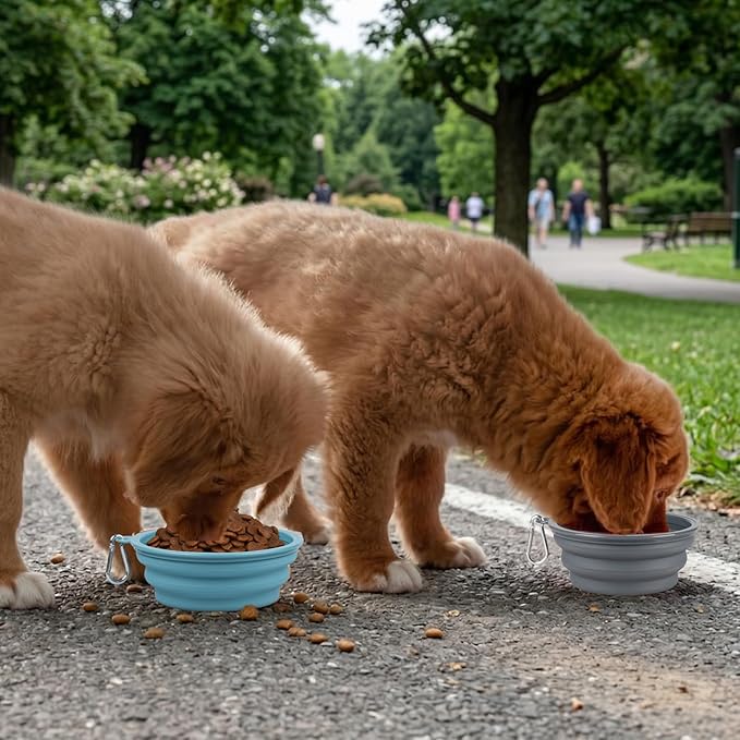 Kytely Collapsible Dog Bowls for Travel, 2Pack Dog Portable Water Bowl, Foldable Pet Food Bowl with Clasp, Pet Cat Feeding Cup Dish for Traveling, Walking, Hiking