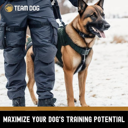 Team Dog Freeze Dried Salmon Dog Treats for Training | Healthy Gluten Free, Grain Free Dog Treats | No Added Fillers, Flavoring or by-Products | for All Breeds & Sizes | 5 Oz Salmon Bites