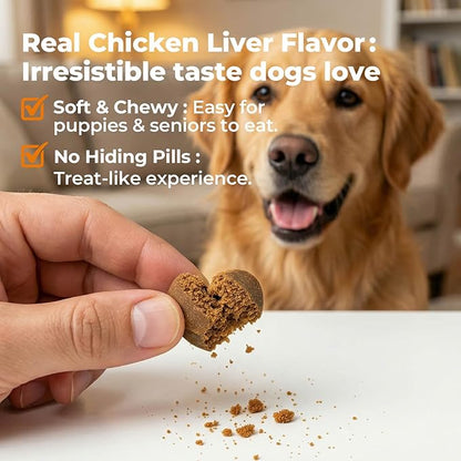 Dog Probiotics Soft Chews with 160mg Pumpkin & Papaya Enzymes – 90 Count – 4-in-1 Gut Support for Scooting Comfort, Stool Consistency & Occasional Gas – Chicken Liver Flavor