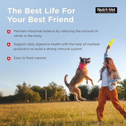 Nutri-Vet Probiotics for Dogs, Dog Probiotics for Digestive Health, Puppy Probiotics, Promotes Healthy Immune System & Gut Health, Vet Formulated, Puppy Supplies, 60 Count Capsules