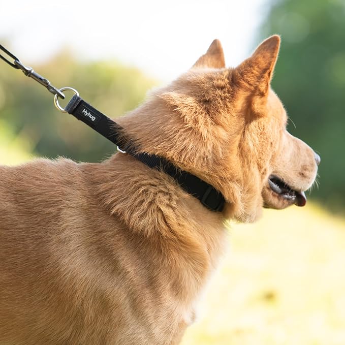 Hyhug Martingale Collar for Dogs Small Black |Escape - Proof Heavy Duty Nylon Durable No Buckle, Ideal for Training & Daily Walks