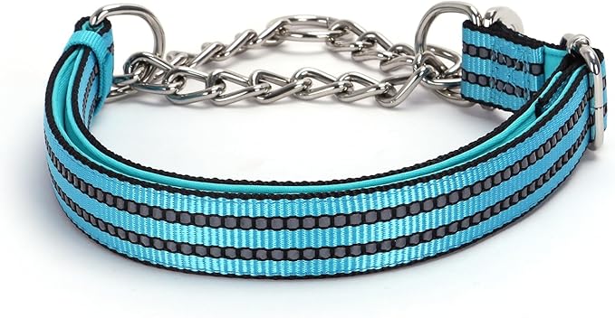 Choke Collar for Dogs，Stainless Steel Chain Collar Martingale, No Pull Slip Cinch Training Escape Proof Heavy Duty Dog Collar for Small Medium Large Pet Boy Male Dogs，Blue M