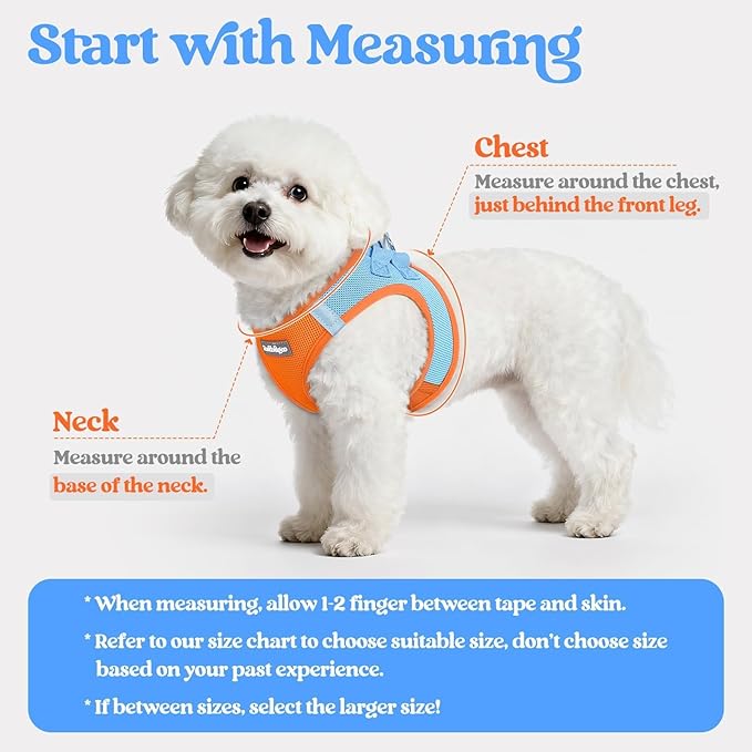 rabbitgoo Dog Harness Small Sized and Leash Set, Step in Soft Light Puppy Vest, Breathable Mesh Pet Harness, Reflective for Safe Easy Walking, Blue & Orange M
