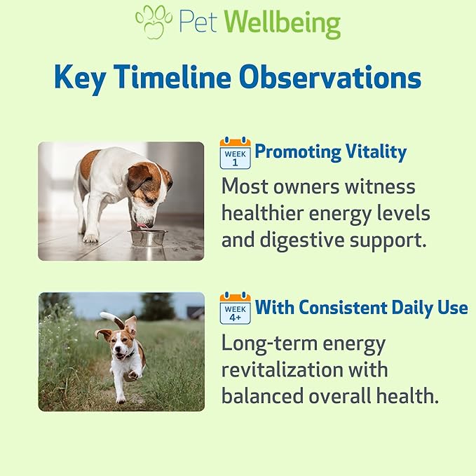 Pet Wellbeing Dandelion Root for Dogs - Liver & Heart Health, Digestive Function, Blood Sugar Support, Certified Organic - Veterinarian-Formulated Herbal Supplement 2 oz (59 ml)