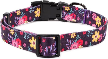 QQPETS Adjustable Soft Dog Collar: Print Flower Pink Multicolor Cute Patterns for XS Small Medium Large Pet Girl Boy Puppy Walking Running Training (S, Elegant Purple)