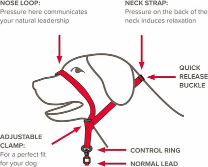 Beaphar | Gentle Leader | Head Collar for Small Dogs | Stops Pulling On The Lead | Training Aid with Immediate Effect | Endorsed by Behaviourists | Black x 1