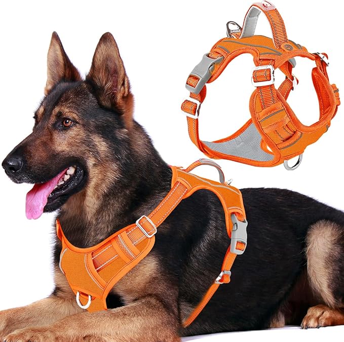 BARKBAY Dog Harness No Pull Oxford with ID Tag Pocket - Heavy Duty, Reflective, Easy Control for Large Dogs(Pumpkin Oxford,XL)