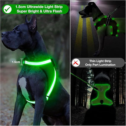 ChalkLit Light Up Dog Harness, No Pull Led Dog Harness Glow-in-The-Dark for Night Walking, USB Rechargeable Lighted Safety Vest for Small Dogs, Adjustable Soft Mesh Fully Illuminated (Green, Small)