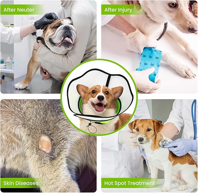 Avaner Dog Cones Recovery Collars: Dog Soft Protective After Surgery Collars for Small Medium Dogs