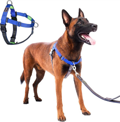 No Pull Dog Harness Freedom Walking, Easy Walk with Front and Back Stainless D-Rings, Sewn-in Instructions Tags for Easy Use, for Medium/Large Dogs Weight 40-60 lbs (Blue, Med/Large)