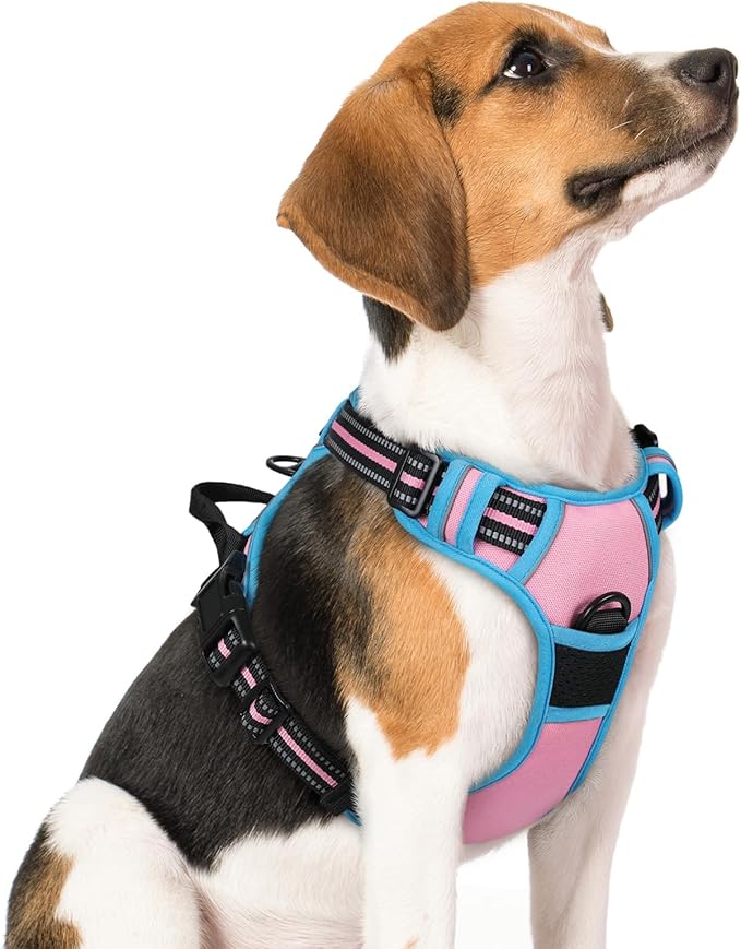 rabbitgoo Dog Harness No Pull with 2 Leash Clips, Adjustable Soft Padded, Reflective Oxford No Choke Pet Vest with Easy Control Handle for Medium Sized Dogs, Pink & Blue, M