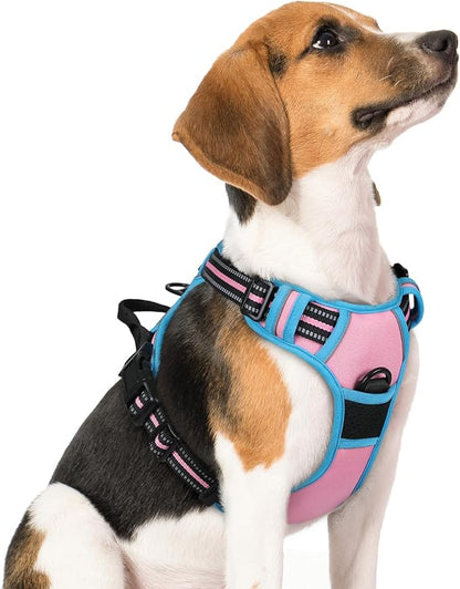rabbitgoo Dog Harness No Pull with 2 Leash Clips, Adjustable Soft Padded, Reflective Oxford No Choke Pet Vest with Easy Control Handle for Medium Sized Dogs, Pink & Blue, M