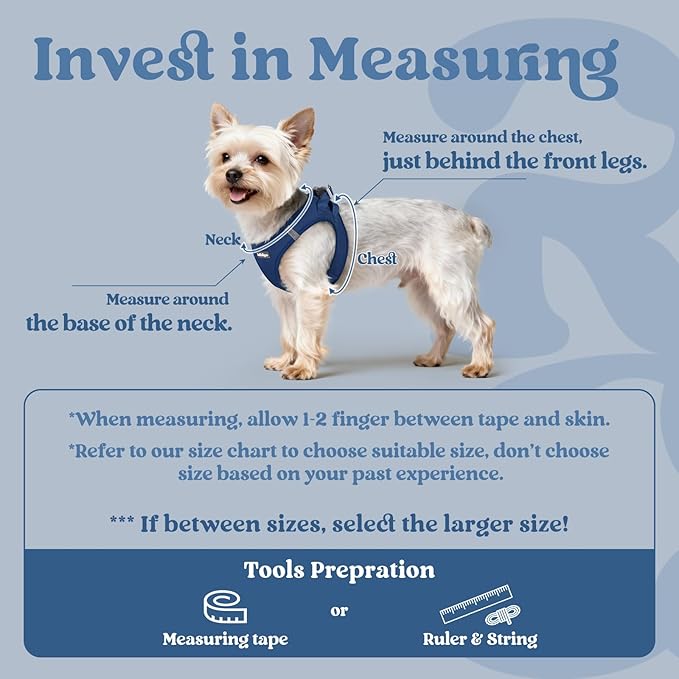 rabbitgoo Small Dog Harness, Step-in Soft Mesh Puppy Vest with Safety Buckle, Breathable Reflective Pet Harness for Extra Small Dogs, Navy Blue XXXS