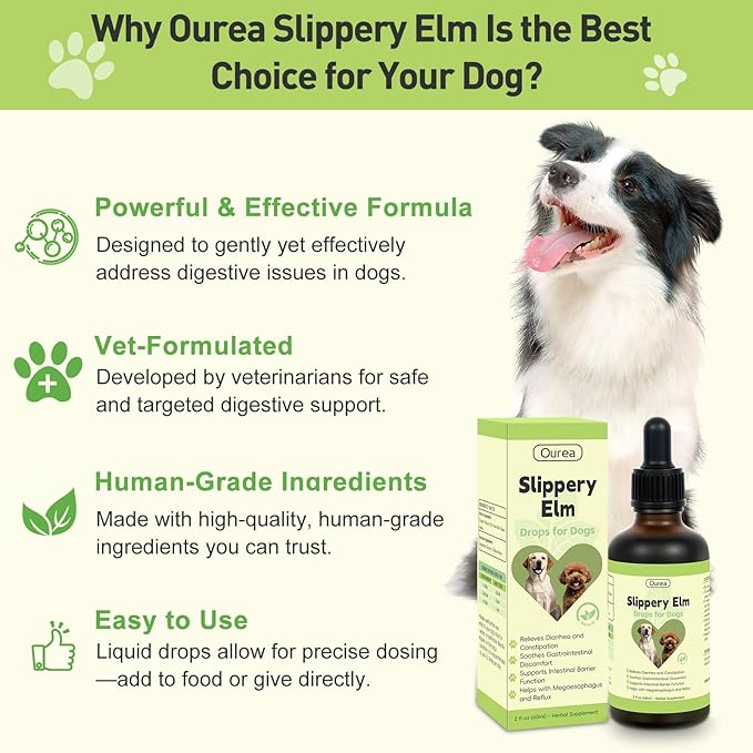 Slippery Elm for Dogs, Organic Herbal Digestive Support Drops for Dog Diarrhea Constipation Sensitive Stomach Acid Reflux, Promotes Healthy Digestion Bowel Function, Liquid Formula for All Breeds