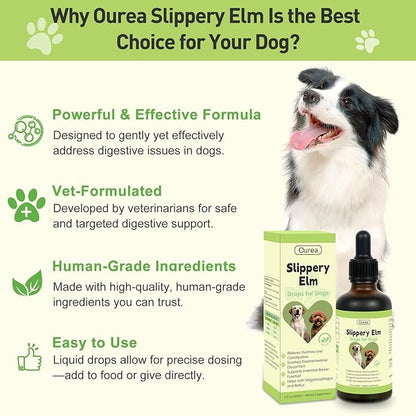 Slippery Elm for Dogs, Organic Herbal Digestive Support Drops for Dog Diarrhea Constipation Sensitive Stomach Acid Reflux, Promotes Healthy Digestion Bowel Function, Liquid Formula for All Breeds