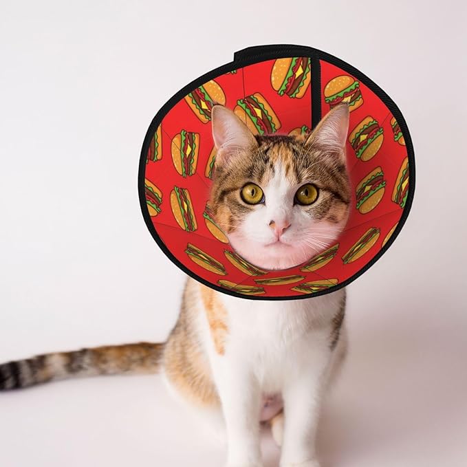 Durable Protective Dog Cones, Soft and Lightweight, Ideal for Large Medium Small Dogs After Surgery, Prevent Licking, Burger Hamburger Pattern Red