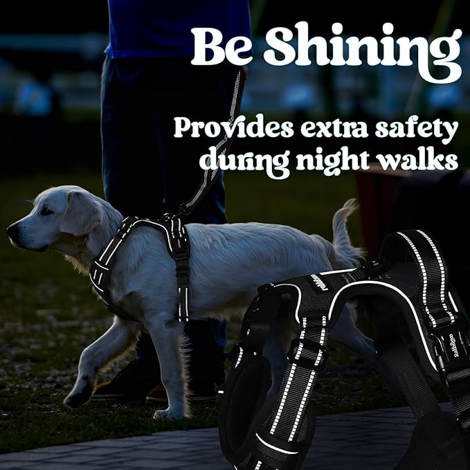 rabbitgoo Dog Harness for Large, No Pull Pet Harness with 3 Buckles, Adjustable Soft Padded Vest with Control Handle, Walking Reflective Pet Vest for Large Dogs, Black, L